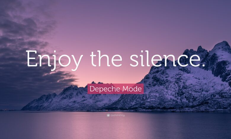 enjoy the silence